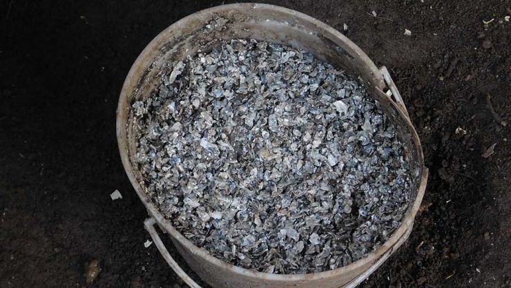 oyster-shell.jpg